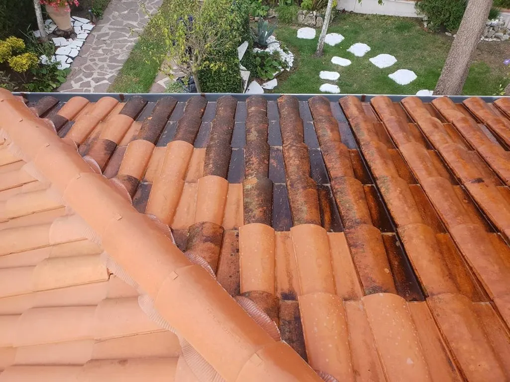 Nettoyage de toiture en cours - Landes (40)