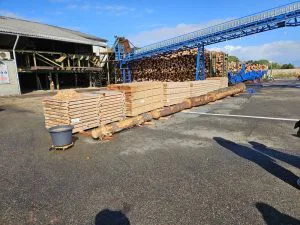 Visite scierie Lesbats à Léon